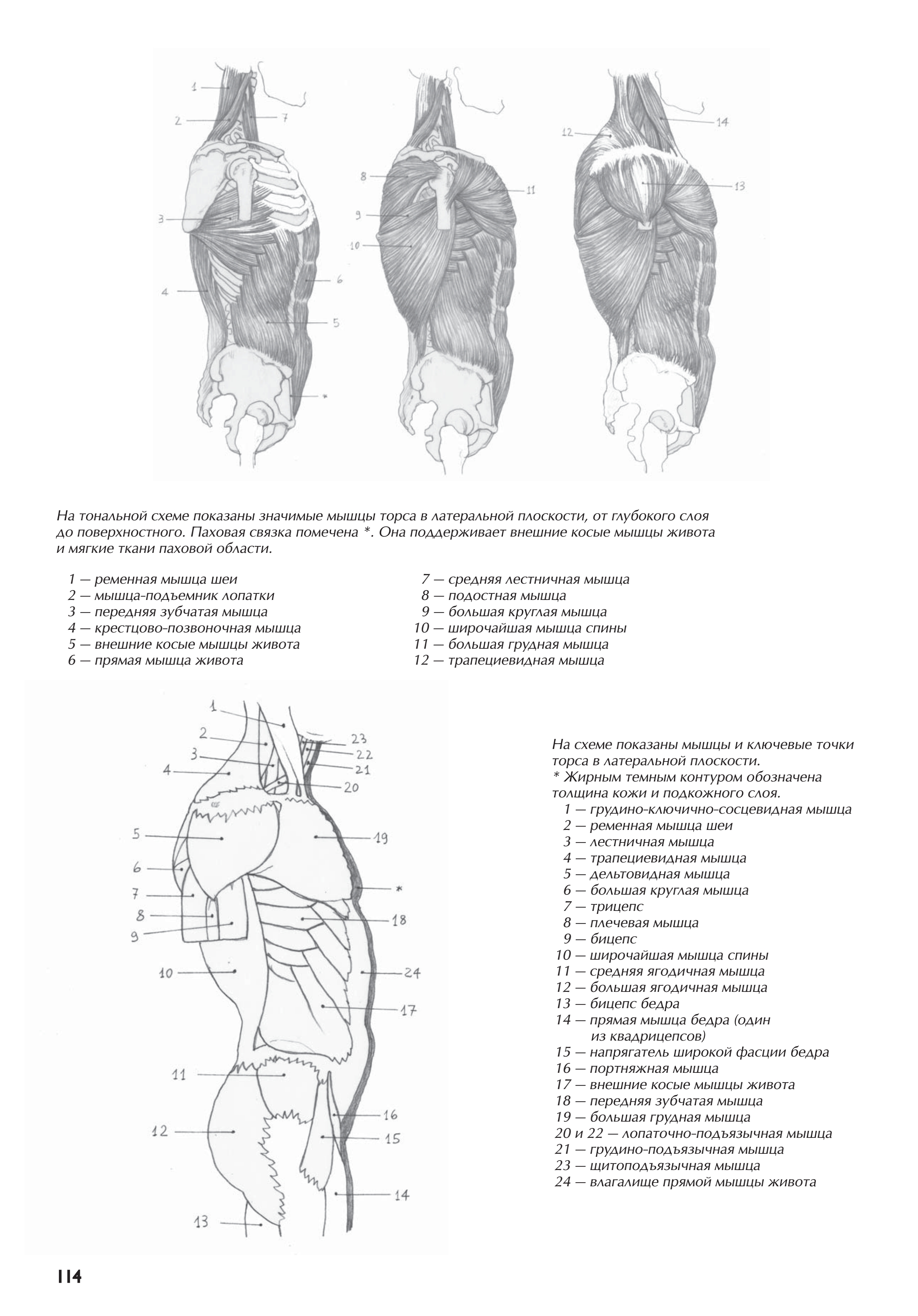 آموزش نقاشی طراحی سیاه قلم شهرری